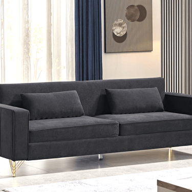 Canapé en velours pour salon, canapé 2 places au charme classique et moderne, confort luxueux et moelleux, facile d'entretien, noir